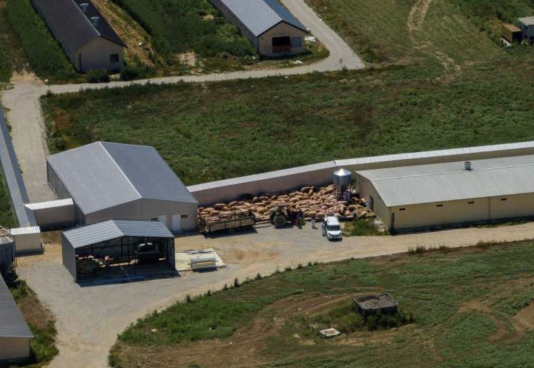 Aerial view of a timber yard with stacked logs, loading equipment, and white metal buildings surrounded by fields and roads.