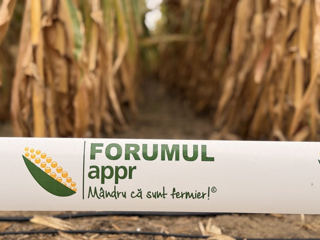 Banner advertising a farming forum placed in a cornfield, with Romanian slogan 'Mândru că sunt fermier'.