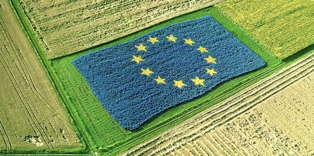 Aerial view of a blue field with 12 yellow stars forming a circle, planted in a green crop field to resemble the EU flag