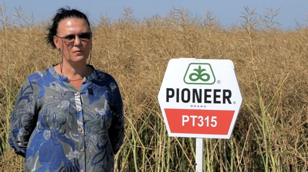 Woman wearing sunglasses and a blue patterned shirt stands beside a white Pioneer PT315 sign in a field of tall, golden grasses.