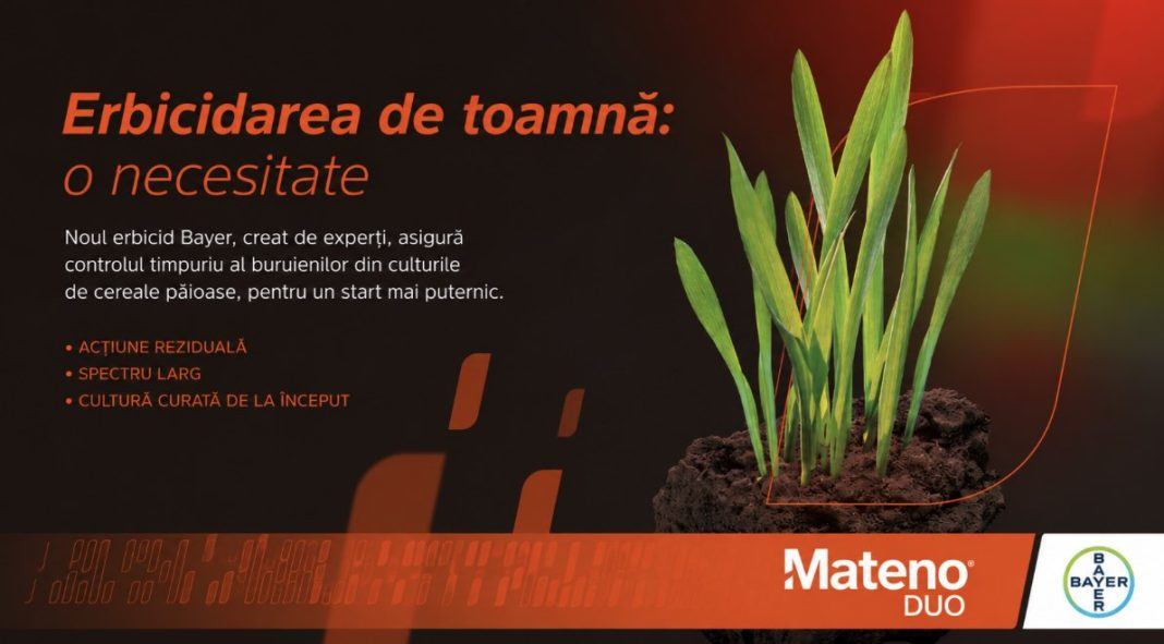 Română: Banner promoționale despre erbicidarea de toamnă, cu textul „Erbicidarea de toamnă: o necesitate” și plante tinere în pământ, logo Mateno Duo – Bayer.