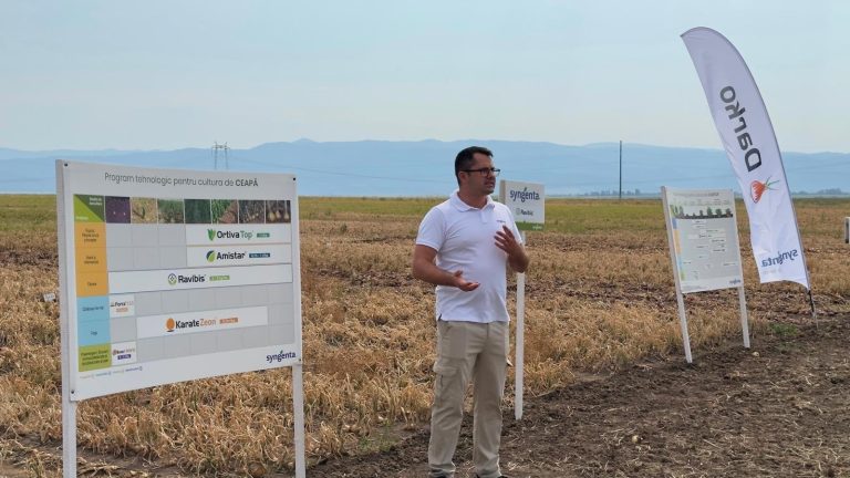 Cultura cepei, de la genetică la protecție: tehnologia Syngenta prezentată la Mărcușa