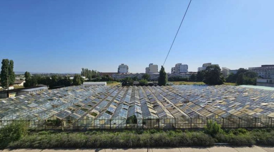 Glass greenhouses with a tiled roof of glass panels, set in a yard under a clear blue sky with city buildings in the background.