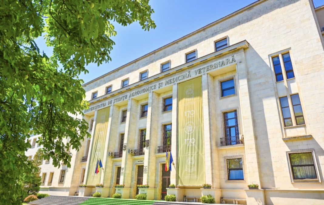 University building with tall stone facade, green banners, and flags at the entrance framed by leafy trees