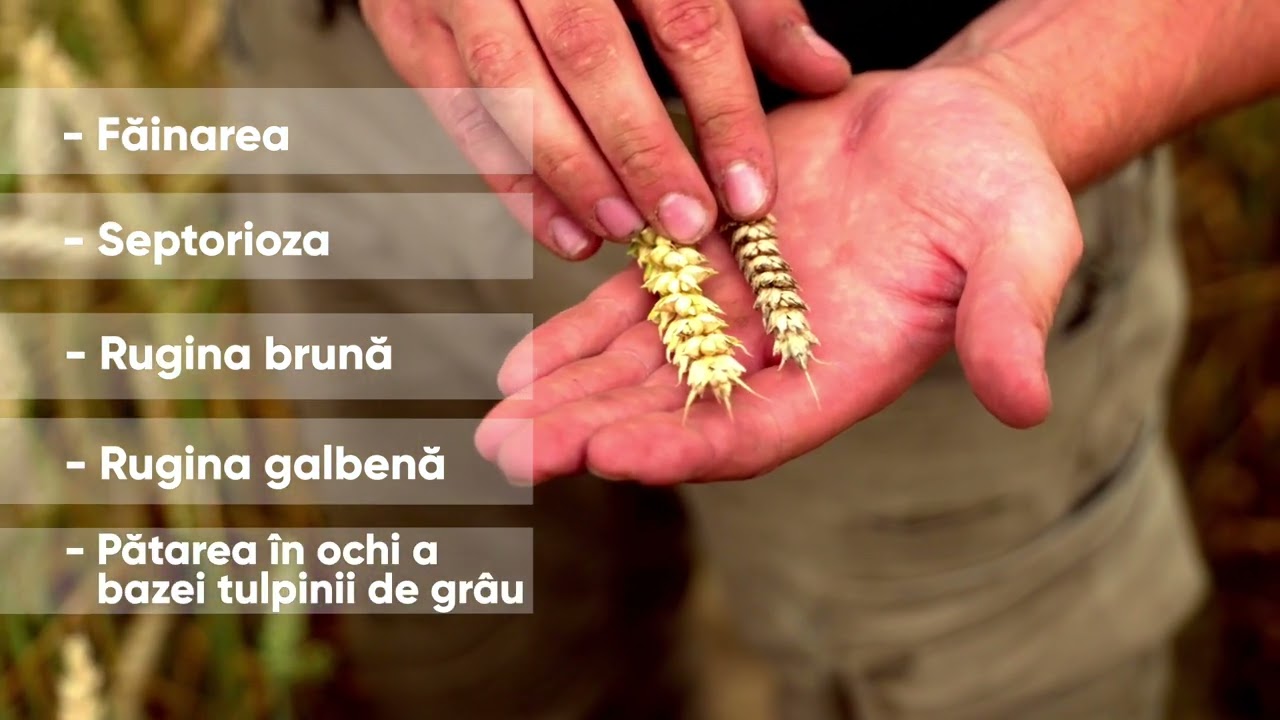 youtube placeholder image